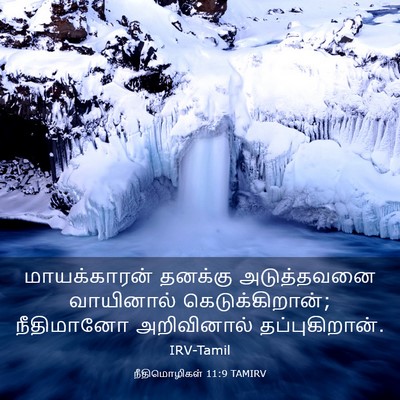 Picture 03 - நீதிமொழிகள் 11:9 TAMIRV - மாயக்காரன் தனக்கு - Bible Verse Picture
