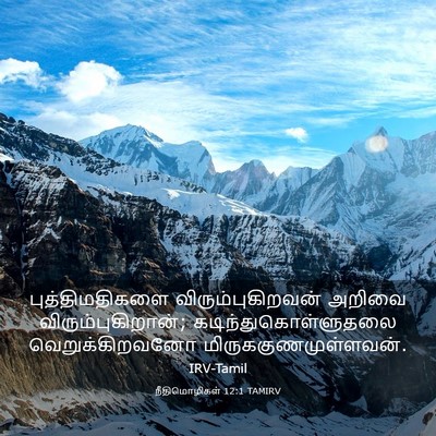 Picture 03 - நீதிமொழிகள் 12:1 TAMIRV - புத்திமதிகளை - Bible Verse Picture
