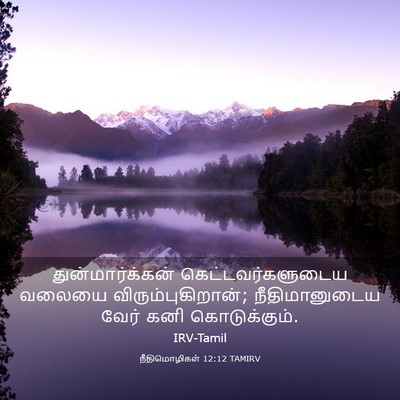 Picture 03 - நீதிமொழிகள் 12:12 TAMIRV - துன்மார்க்கன் - Bible Verse Picture