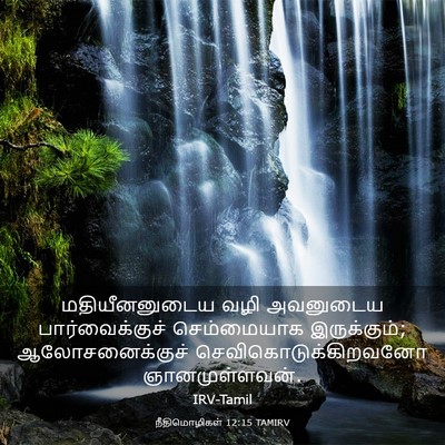 Picture 03 - நீதிமொழிகள் 12:15 TAMIRV - மதியீனனுடைய வழி - Bible Verse Picture