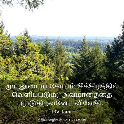 Picture 03 - நீதிமொழிகள் 12:16 TAMIRV - மூடனுடைய கோபம் - Bible Verse Picture