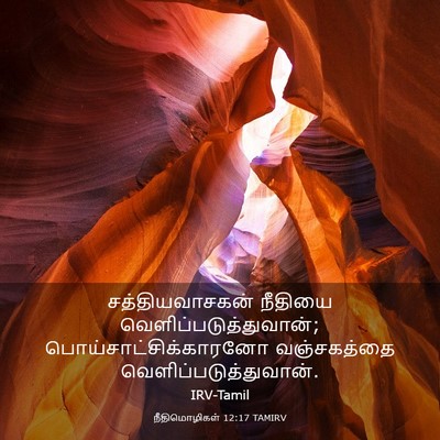 Picture 03 - நீதிமொழிகள் 12:17 TAMIRV - சத்தியவாசகன் - Bible Verse Picture