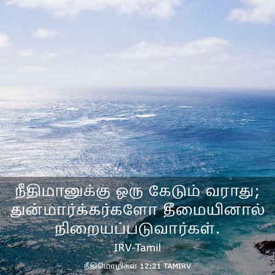 Picture 03 - நீதிமொழிகள் 12:21 TAMIRV - நீதிமானுக்கு ஒரு - Bible Verse Picture