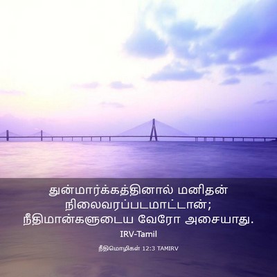 Picture 03 - நீதிமொழிகள் 12:3 TAMIRV -  - Bible Verse Picture