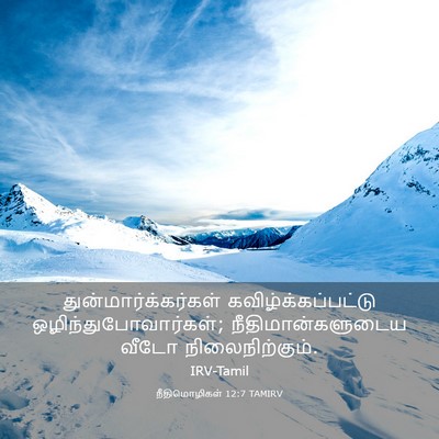 Picture 03 - நீதிமொழிகள் 12:7 TAMIRV - துன்மார்க்கர்கள் - Bible Verse Picture