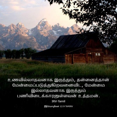 Picture 03 - நீதிமொழிகள் 12:9 TAMIRV - உணவில்லாதவனாக - Bible Verse Picture