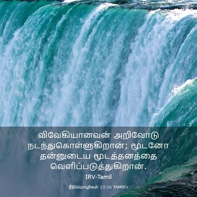 Picture 03 - நீதிமொழிகள் 13:16 TAMIRV - விவேகியானவன் - Bible Verse Picture