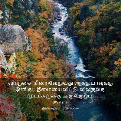 Picture 03 - நீதிமொழிகள் 13:19 TAMIRV - வாஞ்சை - Bible Verse Picture