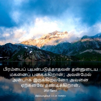 Picture 03 - நீதிமொழிகள் 13:24 TAMIRV - பிரம்பைப் - Bible Verse Picture