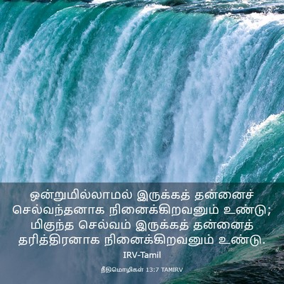 Picture 03 - நீதிமொழிகள் 13:7 TAMIRV - ஒன்றுமில்லாமல் - Bible Verse Picture