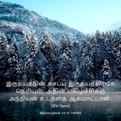 Picture 03 - நீதிமொழிகள் 14:10 TAMIRV - இருதயத்தின் - Bible Verse Picture