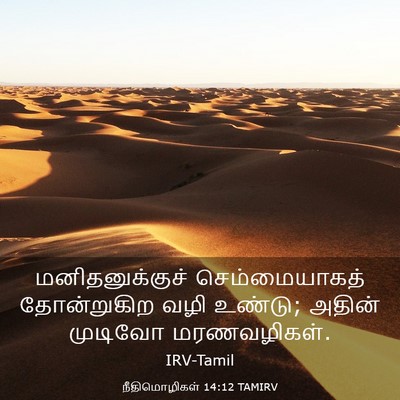 Picture 03 - நீதிமொழிகள் 14:12 TAMIRV - மனிதனுக்குச் - Bible Verse Picture