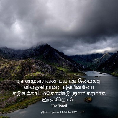 Picture 03 - நீதிமொழிகள் 14:16 TAMIRV - ஞானமுள்ளவன் - Bible Verse Picture