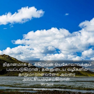 Picture 03 - நீதிமொழிகள் 14:2 TAMIRV - நிதானமாக - Bible Verse Picture