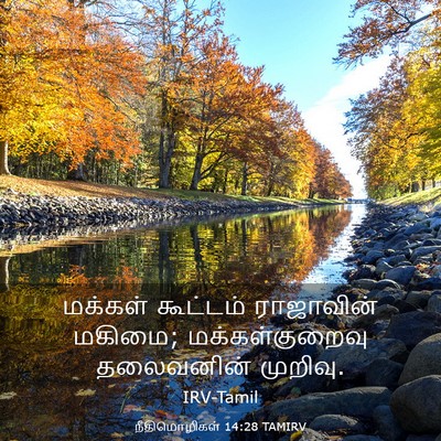 Picture 03 - நீதிமொழிகள் 14:28 TAMIRV - மக்கள் கூட்டம் - Bible Verse Picture