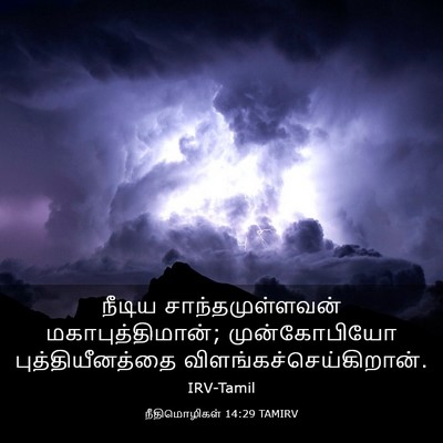 Picture 03 - நீதிமொழிகள் 14:29 TAMIRV - நீடிய - Bible Verse Picture