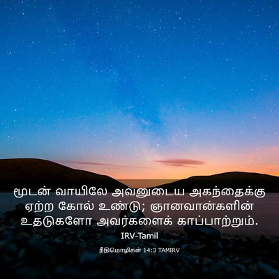 Picture 03 - நீதிமொழிகள் 14:3 TAMIRV - மூடன் வாயிலே - Bible Verse Picture