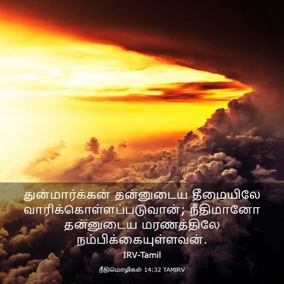 Picture 03 - நீதிமொழிகள் 14:32 TAMIRV - துன்மார்க்கன் - Bible Verse Picture
