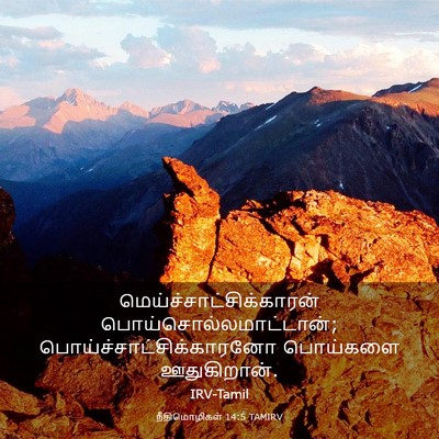 Picture 03 - நீதிமொழிகள் 14:5 TAMIRV -  - Bible Verse Picture