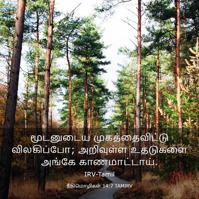 Picture 03 - நீதிமொழிகள் 14:7 TAMIRV - மூடனுடைய - Bible Verse Picture