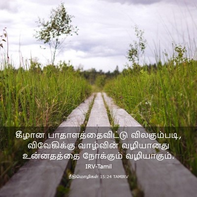 Picture 03 - நீதிமொழிகள் 15:24 TAMIRV - கீழான - Bible Verse Picture