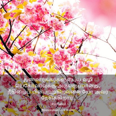 Picture 03 - நீதிமொழிகள் 15:9 TAMIRV -  - Bible Verse Picture