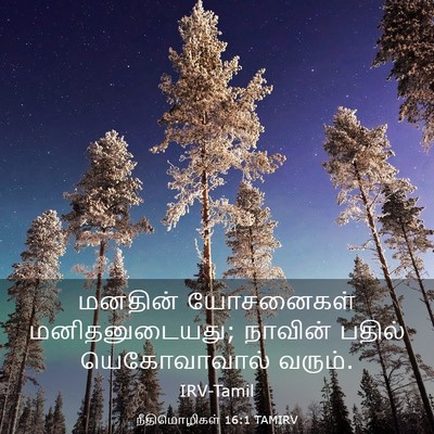 Picture 03 - நீதிமொழிகள் 16:1 TAMIRV - மனதின் யோசனைகள் - Bible Verse Picture