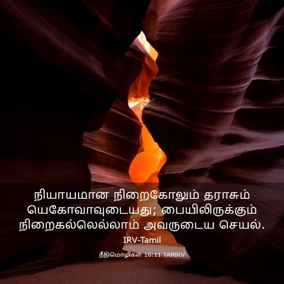 Picture 03 - நீதிமொழிகள் 16:11 TAMIRV - நியாயமான - Bible Verse Picture