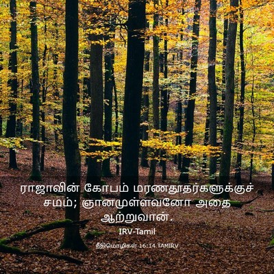Picture 03 - நீதிமொழிகள் 16:14 TAMIRV - ராஜாவின் கோபம் - Bible Verse Picture
