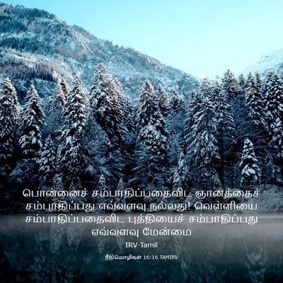 Picture 03 - நீதிமொழிகள் 16:16 TAMIRV - பொன்னைச் - Bible Verse Picture