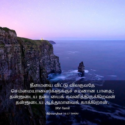 Picture 03 - நீதிமொழிகள் 16:17 TAMIRV - தீமையை விட்டு - Bible Verse Picture