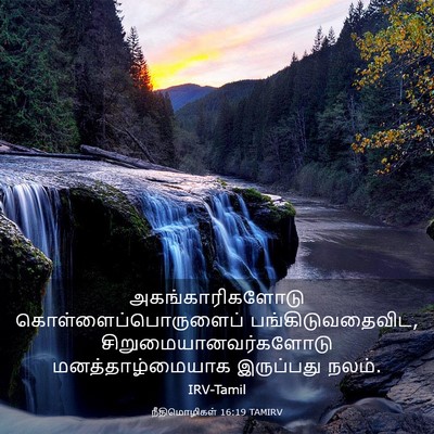 Picture 03 - நீதிமொழிகள் 16:19 TAMIRV - அகங்காரிகளோடு - Bible Verse Picture