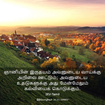Picture 03 - நீதிமொழிகள் 16:23 TAMIRV - ஞானியின் இருதயம் - Bible Verse Picture