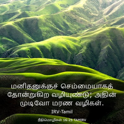 Picture 03 - நீதிமொழிகள் 16:25 TAMIRV - மனிதனுக்குச் - Bible Verse Picture