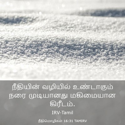 Picture 03 - நீதிமொழிகள் 16:31 TAMIRV - நீதியின் வழியில் - Bible Verse Picture