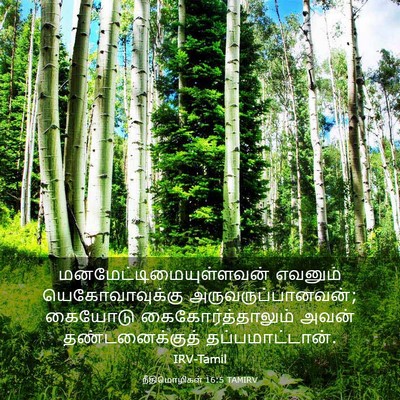 Picture 03 - நீதிமொழிகள் 16:5 TAMIRV -  - Bible Verse Picture