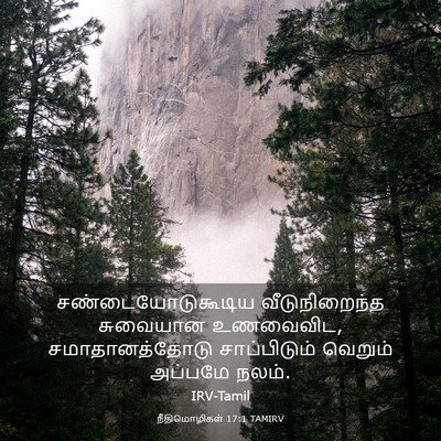 Picture 03 - நீதிமொழிகள் 17:1 TAMIRV - சண்டையோடுகூடிய - Bible Verse Picture