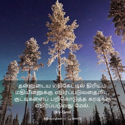 Picture 03 - நீதிமொழிகள் 17:12 TAMIRV - தன்னுடைய - Bible Verse Picture