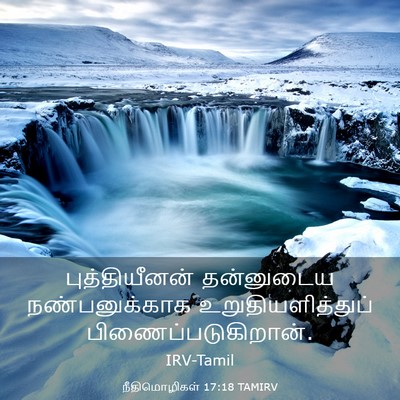 Picture 03 - நீதிமொழிகள் 17:18 TAMIRV - புத்தியீனன் - Bible Verse Picture