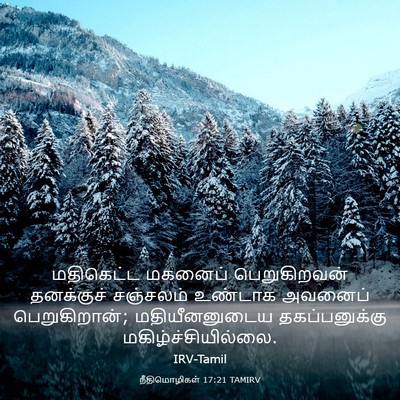 Picture 03 - நீதிமொழிகள் 17:21 TAMIRV - மதிகெட்ட மகனைப் - Bible Verse Picture