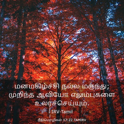 Picture 03 - நீதிமொழிகள் 17:22 TAMIRV - மனமகிழ்ச்சி நல்ல - Bible Verse Picture