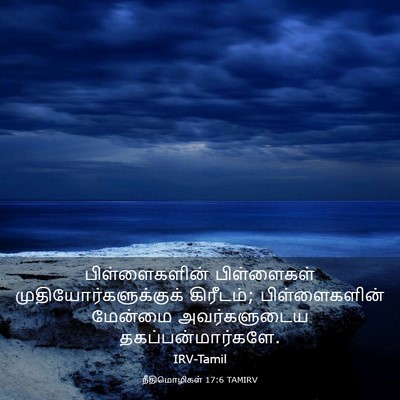 Picture 03 - நீதிமொழிகள் 17:6 TAMIRV - பிள்ளைகளின் - Bible Verse Picture