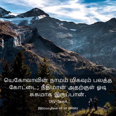 Picture 03 - நீதிமொழிகள் 18:10 TAMIRV - யெகோவாவின் நாமம் - Bible Verse Picture