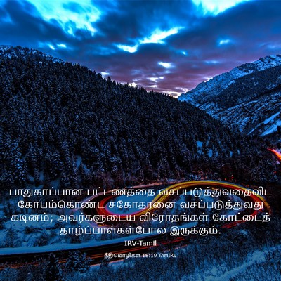 Picture 03 - நீதிமொழிகள் 18:19 TAMIRV - பாதுகாப்பான - Bible Verse Picture