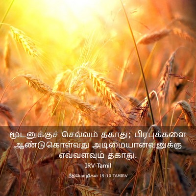 Picture 03 - நீதிமொழிகள் 19:10 TAMIRV - மூடனுக்குச் - Bible Verse Picture
