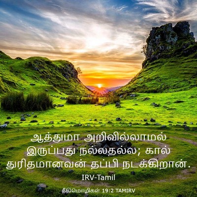 Picture 03 - நீதிமொழிகள் 19:2 TAMIRV - ஆத்துமா - Bible Verse Picture