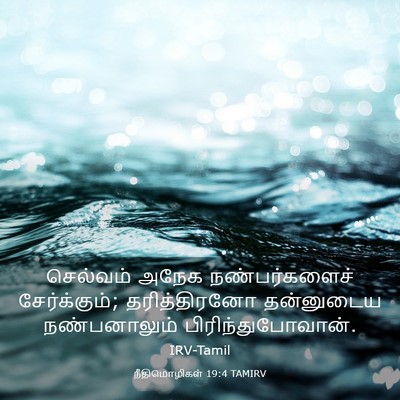 Picture 03 - நீதிமொழிகள் 19:4 TAMIRV - செல்வம் அநேக - Bible Verse Picture