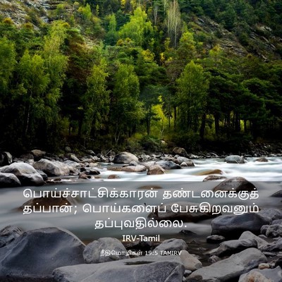 Picture 03 - நீதிமொழிகள் 19:5 TAMIRV -  - Bible Verse Picture