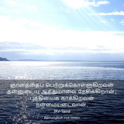 Picture 03 - நீதிமொழிகள் 19:8 TAMIRV - ஞானத்தைப் - Bible Verse Picture