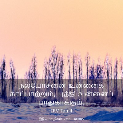 Picture 03 - நீதிமொழிகள் 2:11 TAMIRV - நல்யோசனை உன்னைக் - Bible Verse Picture